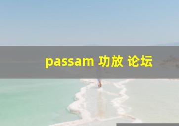 passam 功放 论坛